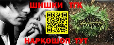 крисы Малгобек