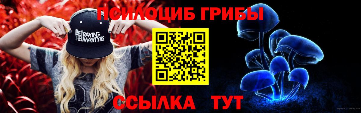 Горячий Ключ  Галлюциногенные грибы Psilocybine cubensis  Вход с VPN 